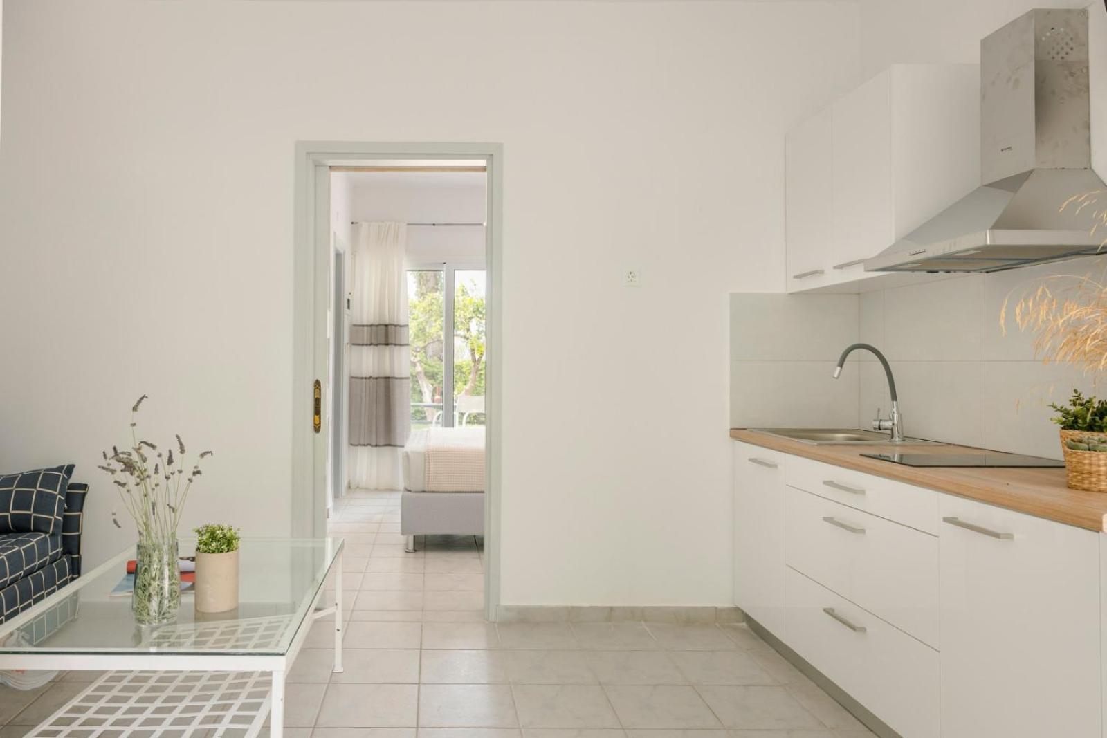 Vivian Apartments Vlachata Extérieur photo